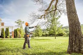 Best Tree Risk Assessment  in Barnum Island, NY